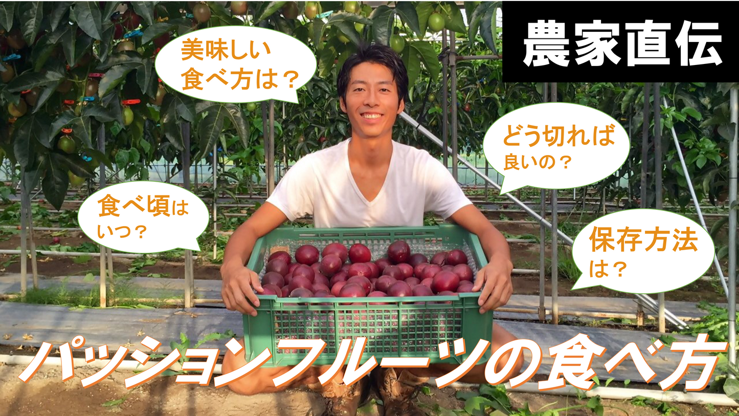 【動画】パッションフルーツの食べ方