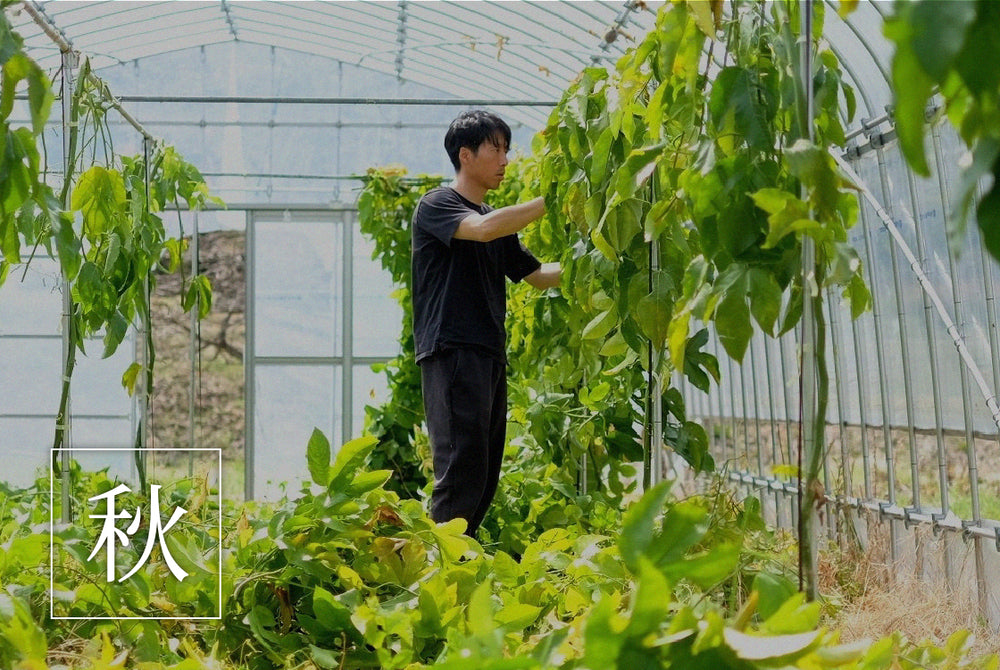 RYO'S FARM｜パッションフルーツとリリコイバター – ryosfarm